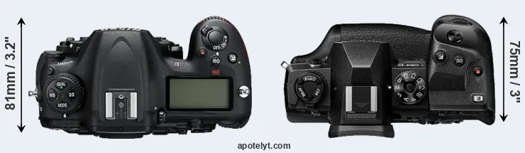 Compare D500 versus E-M1X top
