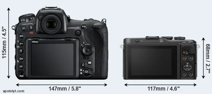 Comparison D500 or E-PL10 rear