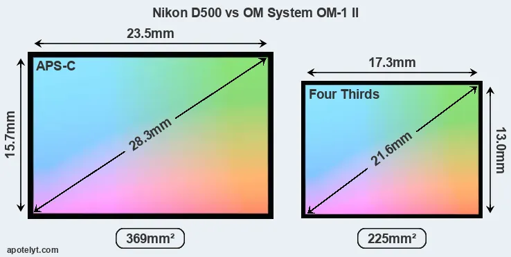 Nikon D500 and OM System OM-1 II sensor measures