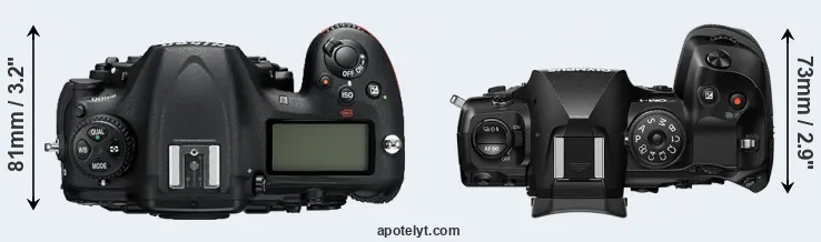 Compare D500 versus OM-1 top