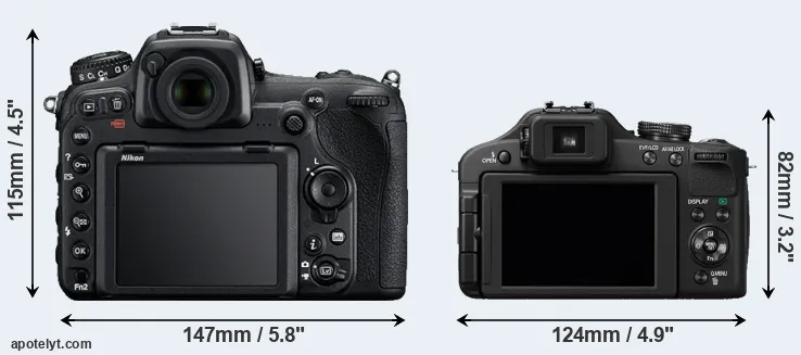Comparison D500 or FZ150 rear