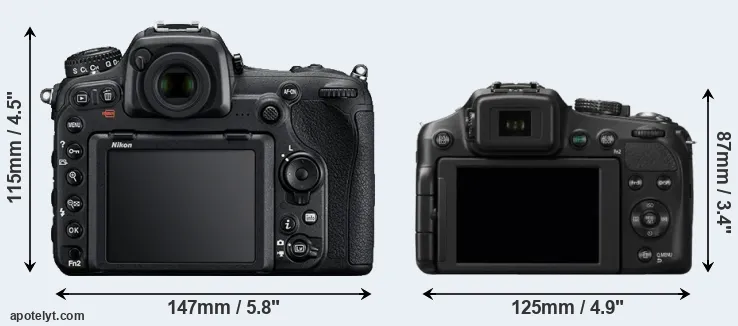 Comparison D500 or FZ200 rear