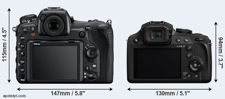 Comparison D500 or FZ82 rear