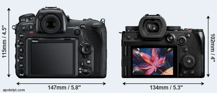 Comparison D500 or S5 II rear