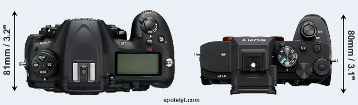 Compare D500 versus A7 IV top