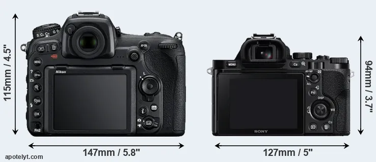 Comparison D500 or A7 rear