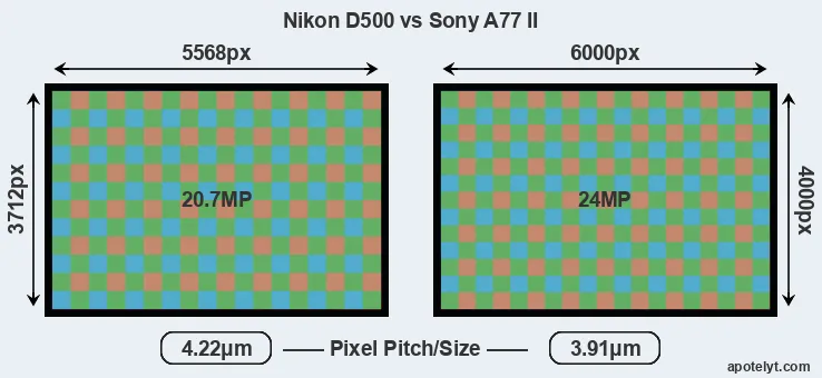 D500 versus A77 II MP