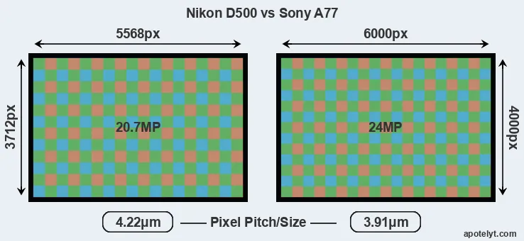 D500 versus A77 MP