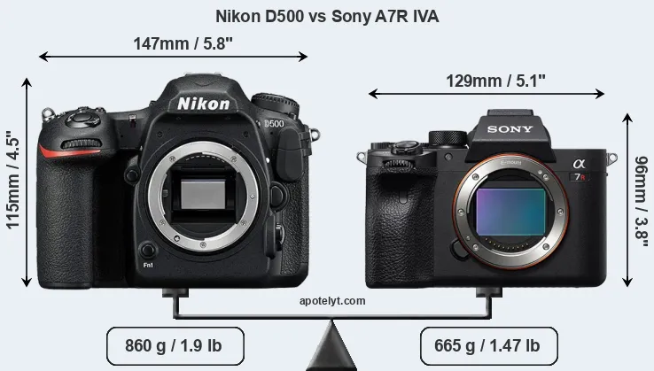 Size Nikon D500 vs Sony A7R IVA