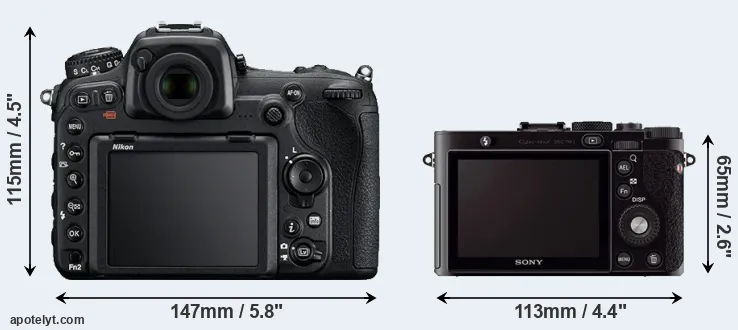 Comparison D500 or RX1 rear