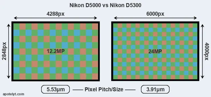 D5000 versus D5300 MP