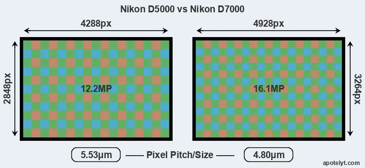 D5000 versus D7000 MP