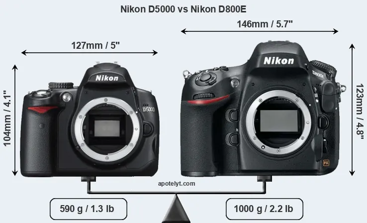 Size Nikon D5000 vs Nikon D800E