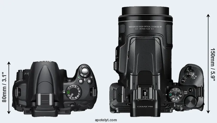 Compare D5000 versus P950 top