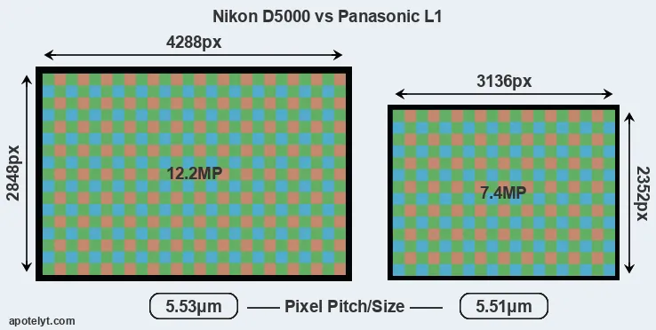 D5000 versus L1 MP