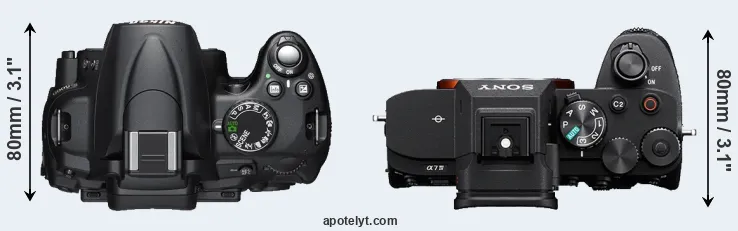 Compare D5000 versus A7 IV top