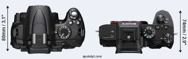 Compare D5000 versus A7R III top