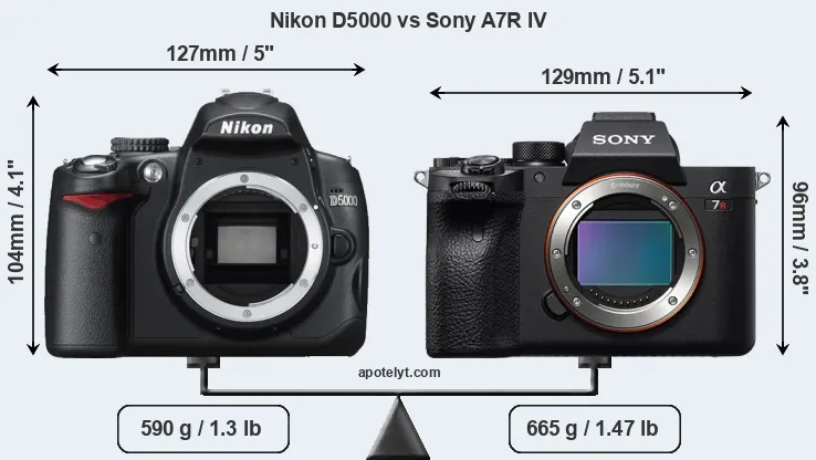 Size Nikon D5000 vs Sony A7R IV