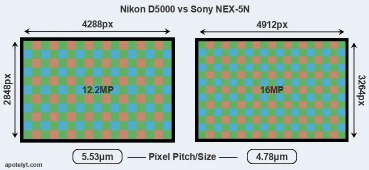 D5000 versus NEX-5N MP
