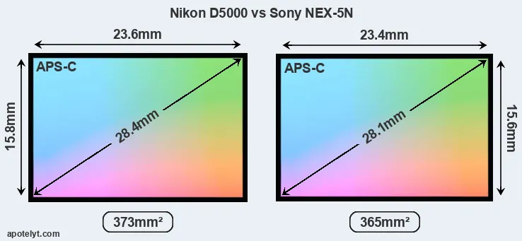Nikon D5000 and Sony NEX-5N sensor measures