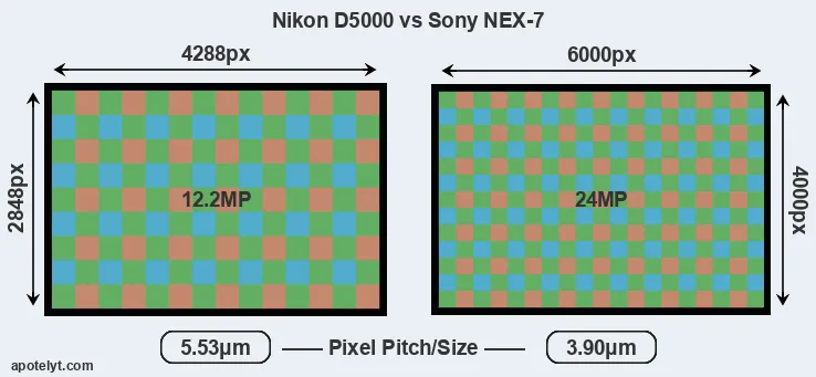 D5000 versus NEX-7 MP
