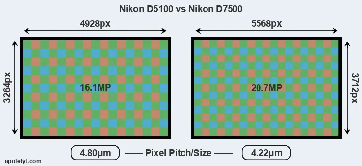 D5100 versus D7500 MP