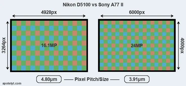 D5100 versus A77 II MP