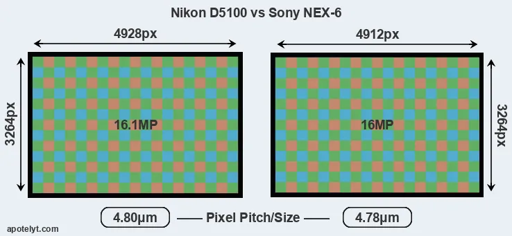 D5100 versus NEX-6 MP