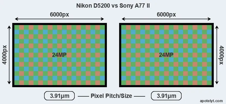 D5200 versus A77 II MP