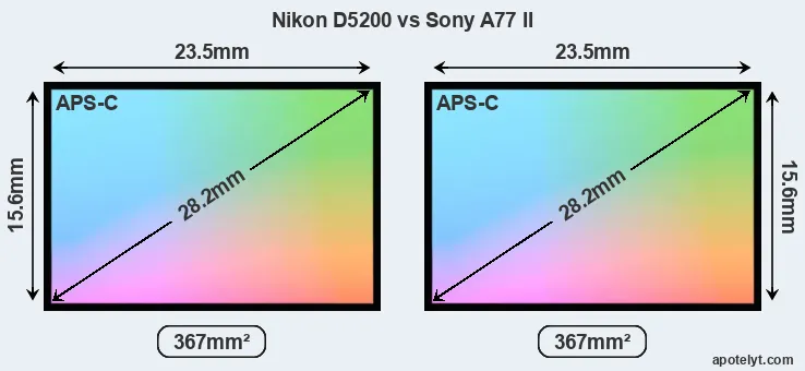 Nikon D5200 and Sony A77 II sensor measures