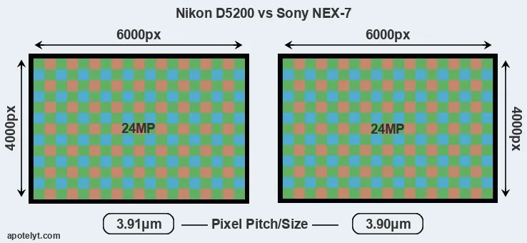 D5200 versus NEX-7 MP