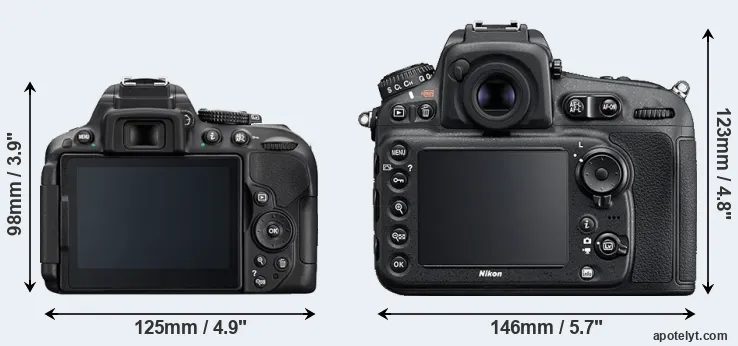 Comparison D5300 or D810 rear