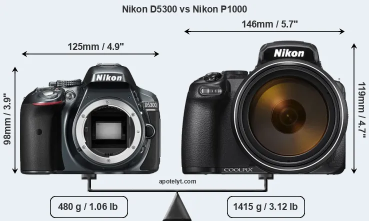Size Nikon D5300 vs Nikon P1000