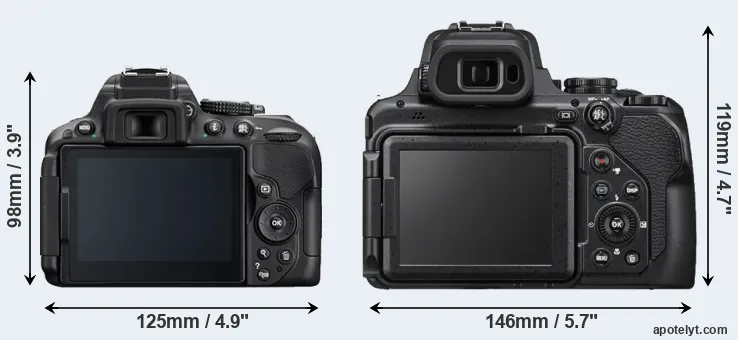 Comparison D5300 or P1000 rear