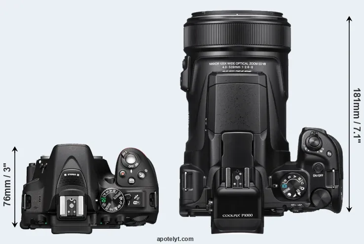 Compare D5300 versus P1000 top