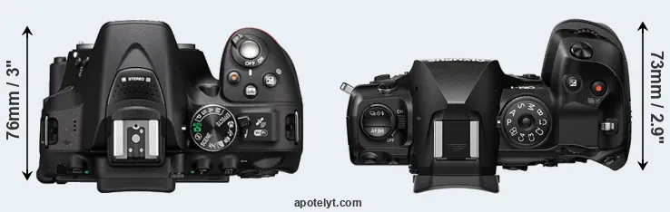 Compare D5300 versus OM-1 top