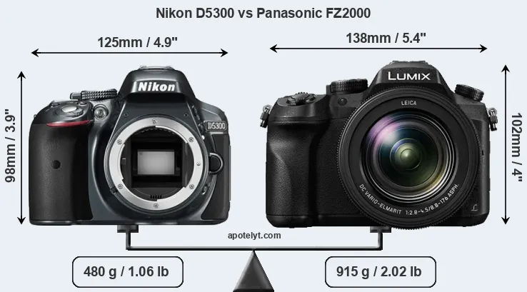 Size Nikon D5300 vs Panasonic FZ2000