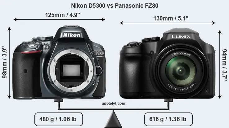 Size Nikon D5300 vs Panasonic FZ80