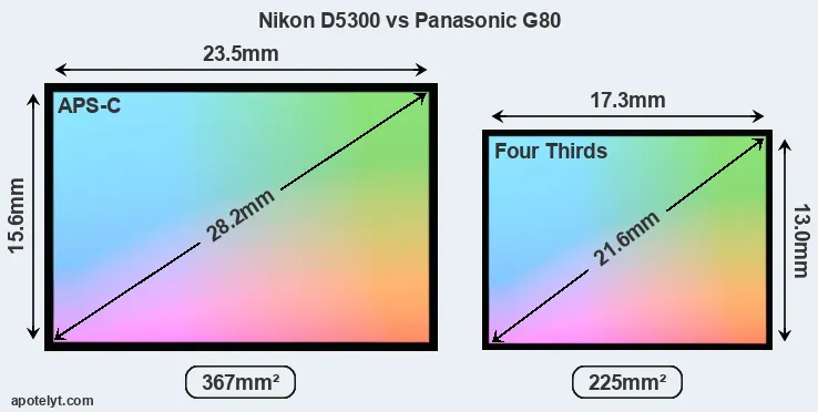 Nikon D5300 and Panasonic G80 sensor measures