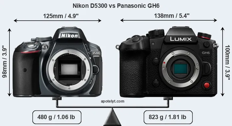 Size Nikon D5300 vs Panasonic GH6