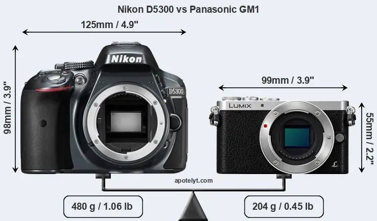 Size Nikon D5300 vs Panasonic GM1