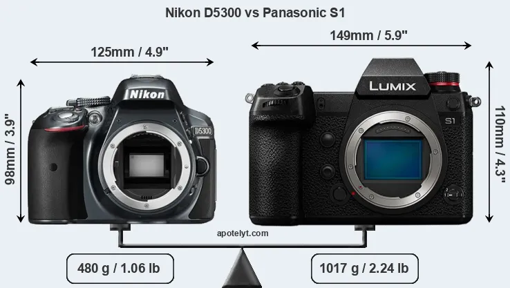 Size Nikon D5300 vs Panasonic S1