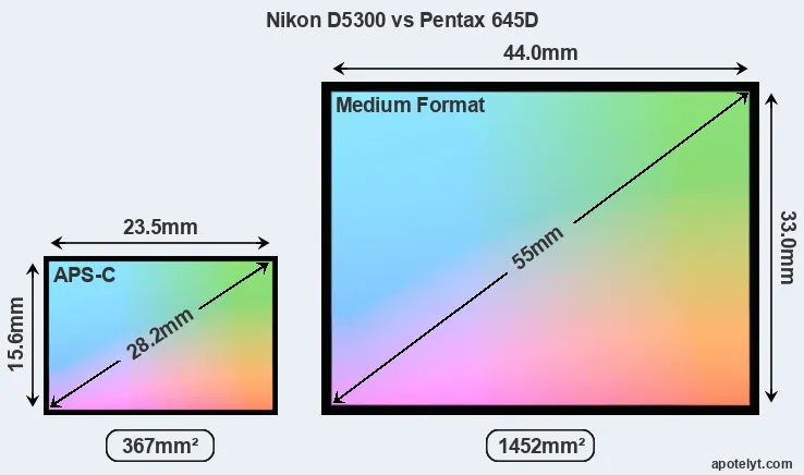 Nikon D5300 and Pentax 645D sensor measures