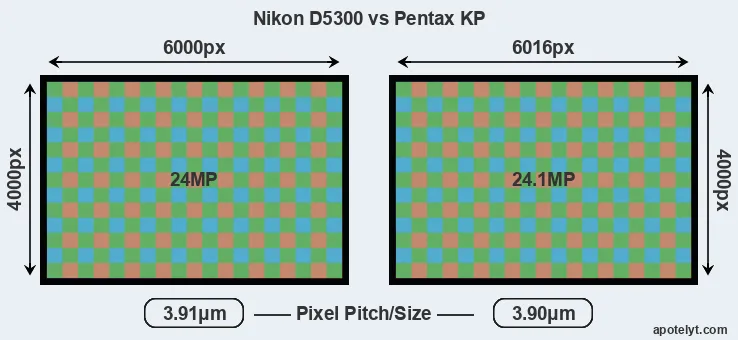D5300 versus KP MP