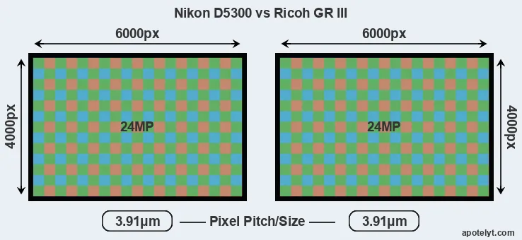 D5300 versus GR III MP