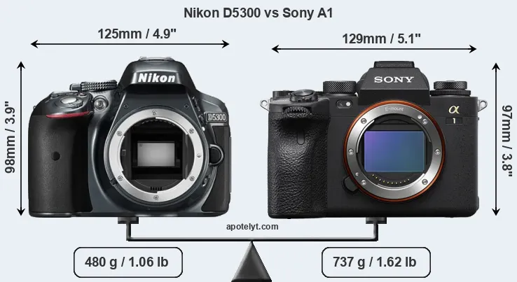Size Nikon D5300 vs Sony A1