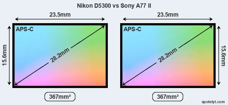 Nikon D5300 and Sony A77 II sensor measures