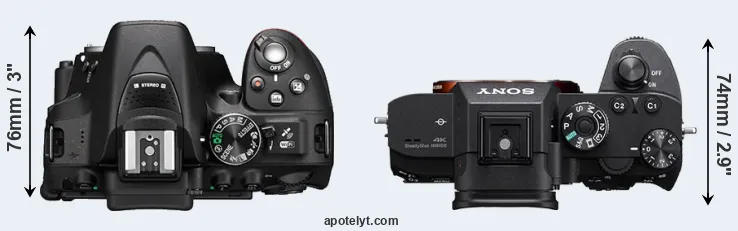 Compare D5300 versus A7R III top