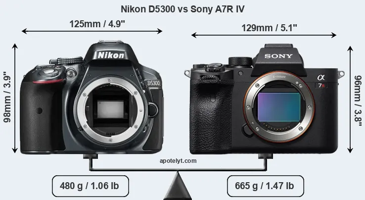 Size Nikon D5300 vs Sony A7R IV