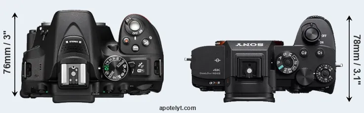 Compare D5300 versus A7R IV top